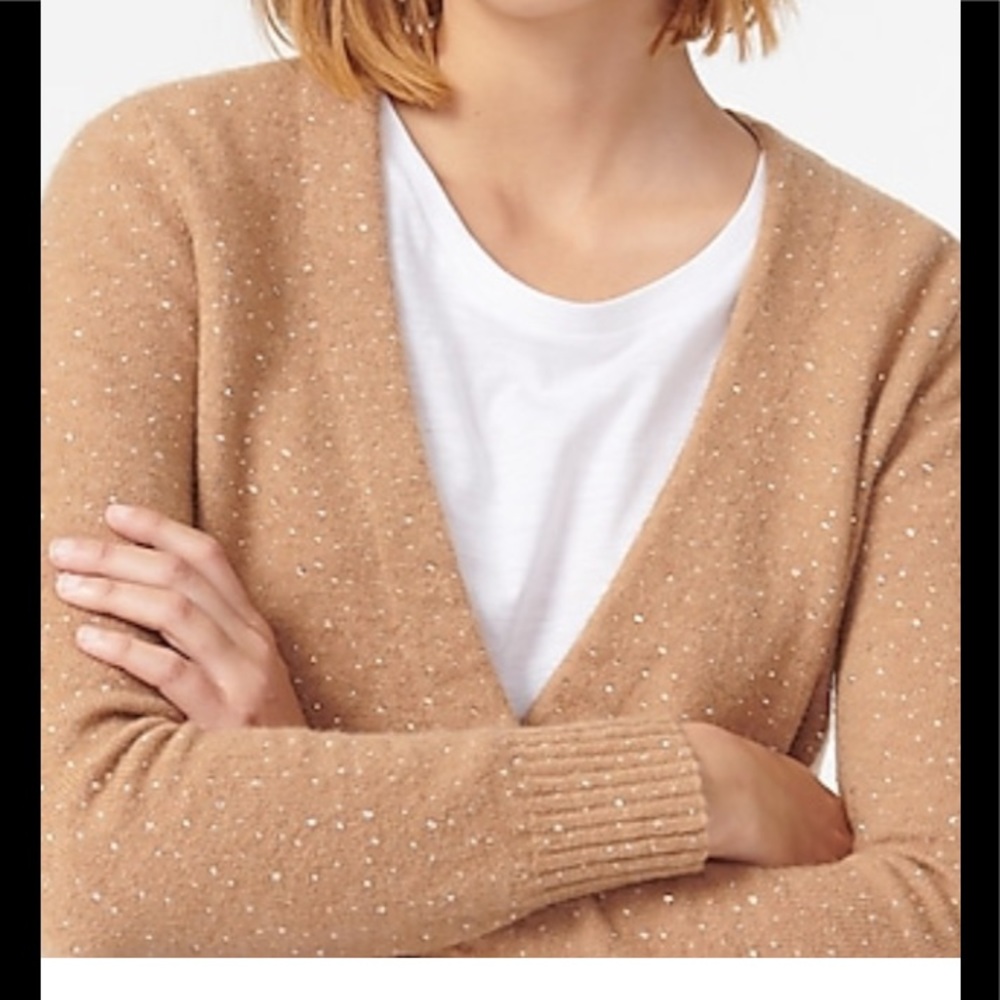 J crew v- neck sparkle cardigan sweater (NEW) - Picture 3 of 15